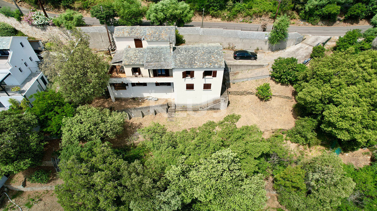 Ma-Cabane - Vente Maison SANTA-MARIA-DI-LOTA, 210 m²