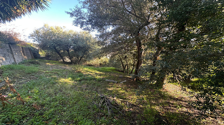 Ma-Cabane - Vente Maison SANTA-MARIA-DI-LOTA, 182 m²