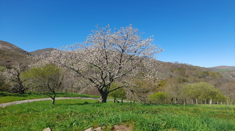 Ma-Cabane - Vente Maison SARE, 220 m²