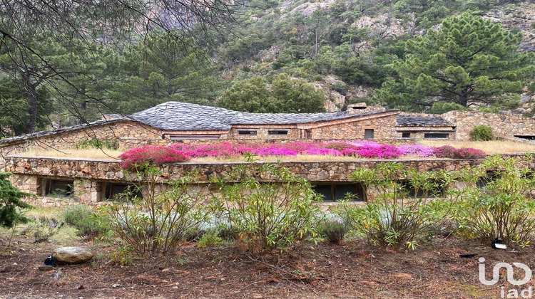 Ma-Cabane - Vente Maison Sari-Solenzara, 490 m²