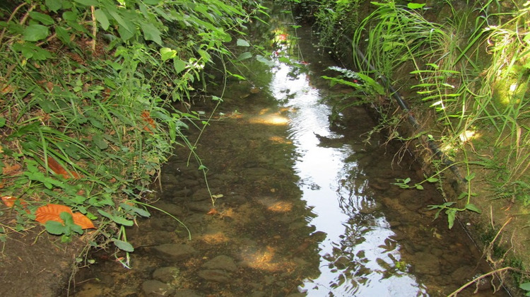 Ma-Cabane - Vente Maison SARLAT LA CANEDA, 120 m²