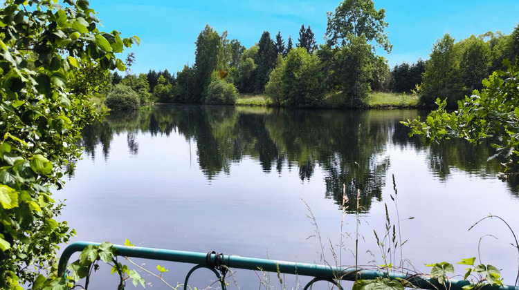 Ma-Cabane - Vente Maison Saulcy-sur-Meurthe, 506 m²