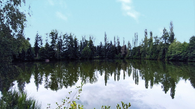 Ma-Cabane - Vente Maison Saulcy-sur-Meurthe, 506 m²