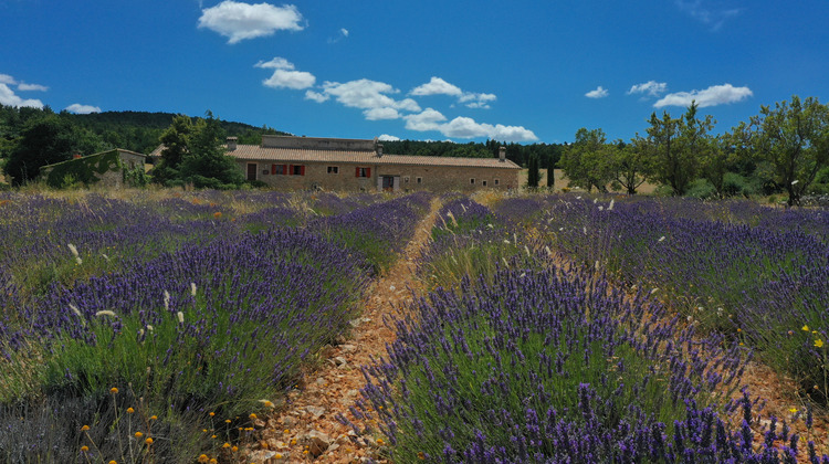 Ma-Cabane - Vente Maison Sault, 443 m²