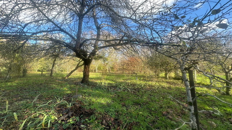 Ma-Cabane - Vente Maison SAUMUR, 93 m²