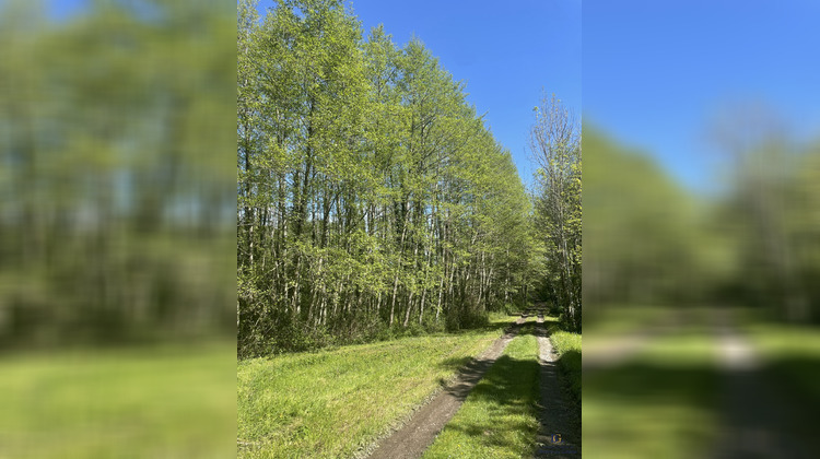 Ma-Cabane - Vente Maison Sauveterre-de-Béarn, 190 m²
