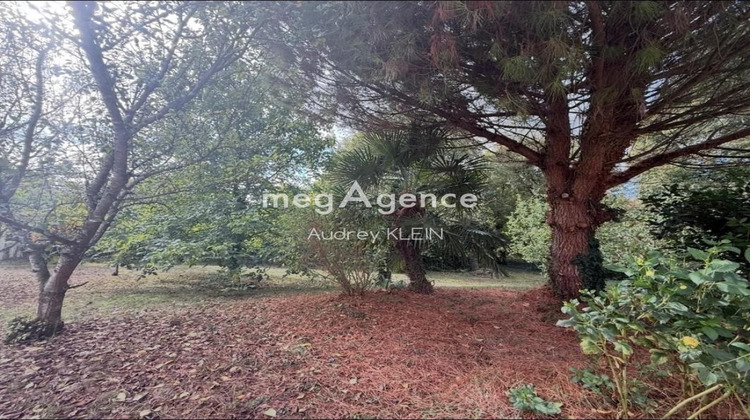 Ma-Cabane - Vente Maison SAVIGNY SUR CLAIRIS, 120 m²