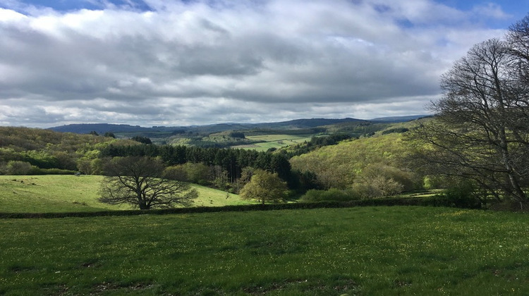 Ma-Cabane - Vente Maison SAVILLY, 230 m²