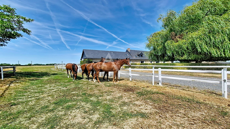 Ma-Cabane - Vente Maison SEGRE, 230 m²
