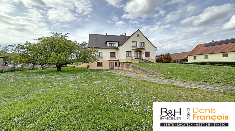 Ma-Cabane - Vente Maison Sélestat, 303 m²