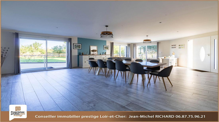 Ma-Cabane - Vente Maison SELLES SUR CHER, 510 m²