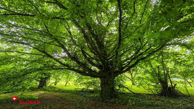 Ma-Cabane - Vente Maison SENARGENT-MIGNAFANS, 140 m²