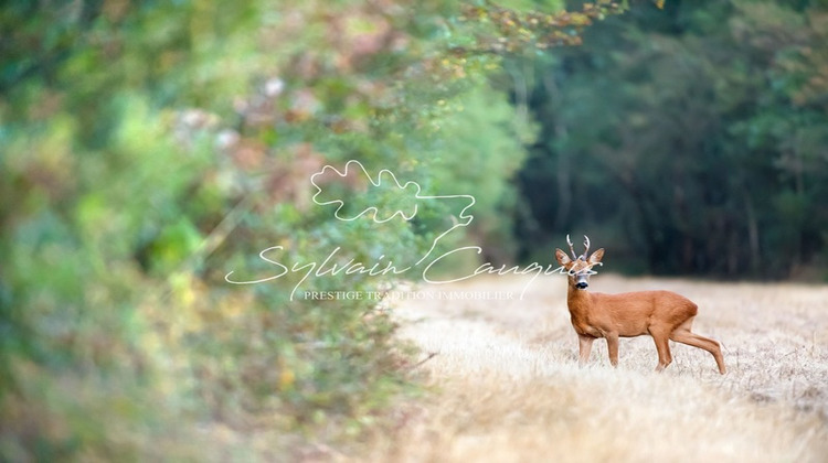 Ma-Cabane - Vente Maison SENNELY, 800 m²