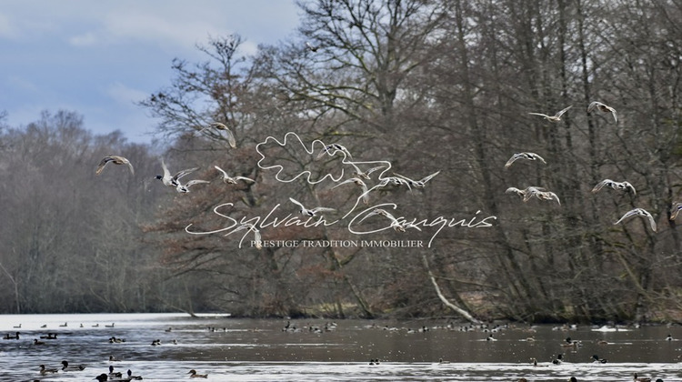 Ma-Cabane - Vente Maison SENNELY, 800 m²