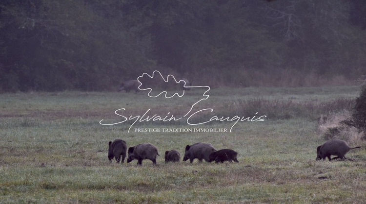 Ma-Cabane - Vente Maison SENNELY, 800 m²