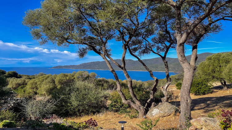 Ma-Cabane - Vente Maison SERRA DI FERRO, 72 m²