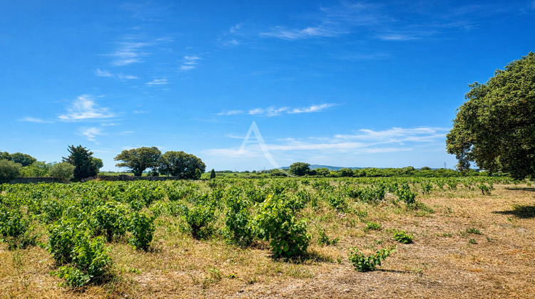 Ma-Cabane - Vente Maison SETE, 500 m²