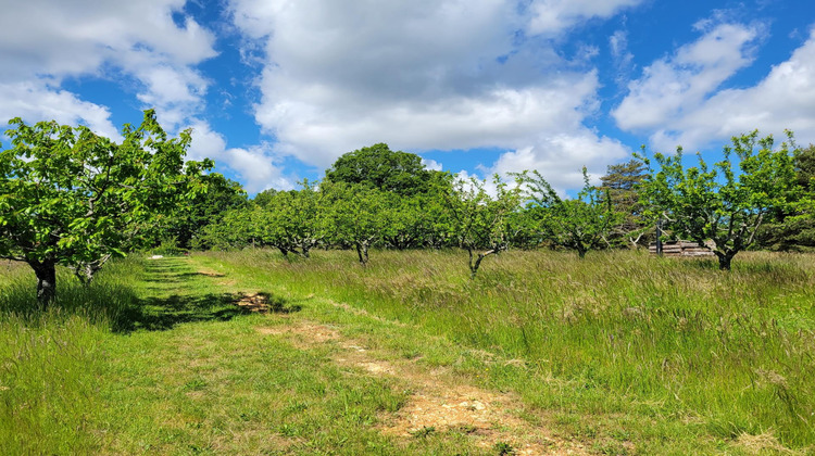 Ma-Cabane - Vente Maison Simiane-la-Rotonde, 500 m²