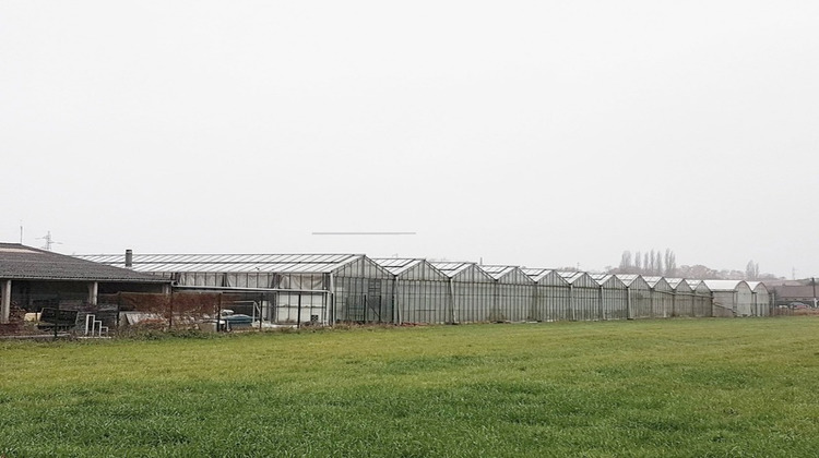 Ma-Cabane - Vente Maison SIN LE NOBLE, 0 m²