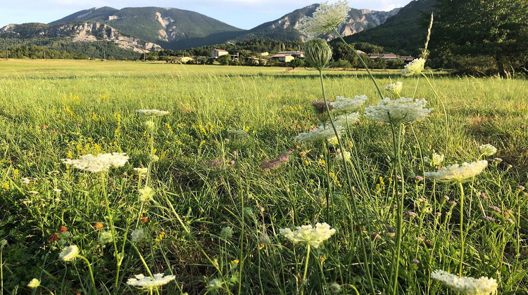 Ma-Cabane - Vente Maison Sisteron, 278 m²