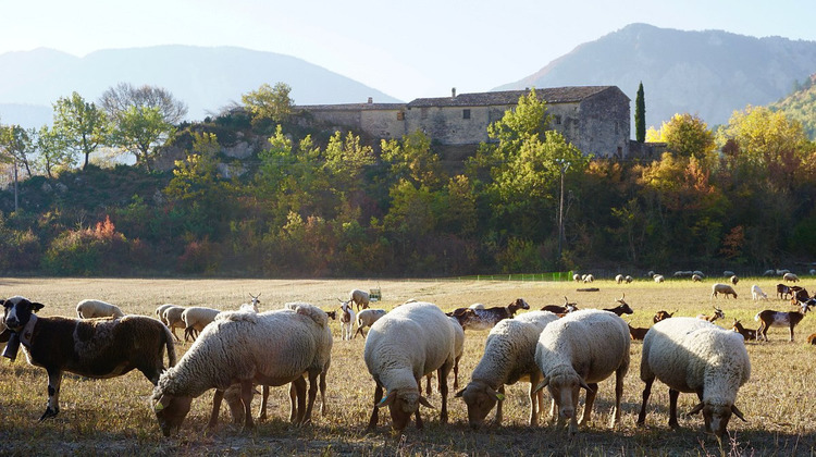 Ma-Cabane - Vente Maison Sisteron, 278 m²