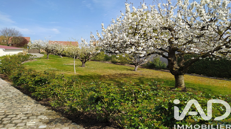 Ma-Cabane - Vente Maison Soignolles-en-Brie, 180 m²