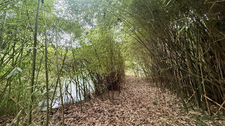 Ma-Cabane - Vente Maison Soissons, 49 m²