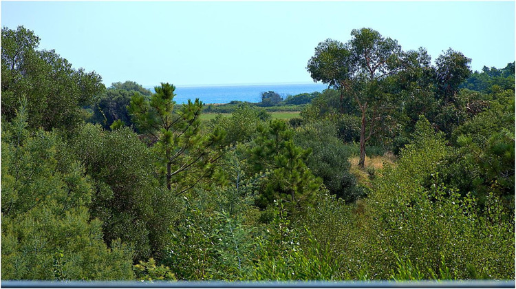 Ma-Cabane - Vente Maison SOLARO, 250 m²