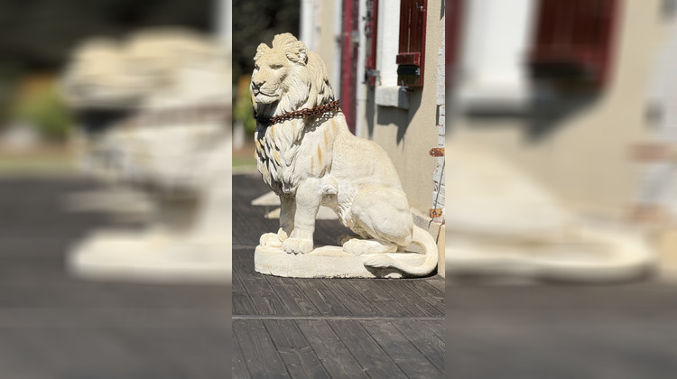 Ma-Cabane - Vente Maison Solférino, 196 m²