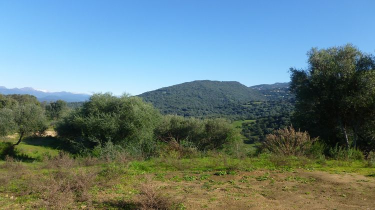 Ma-Cabane - Vente Maison Sollacaro, 96 m²