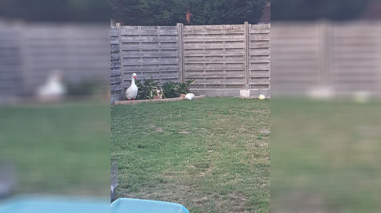 Ma-Cabane - Vente Maison SOMAIN, 110 m²