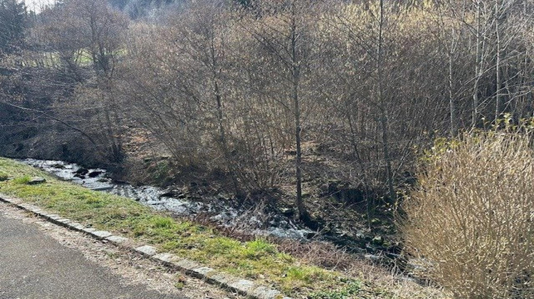 Ma-Cabane - Vente Maison Sondernach, 188 m²