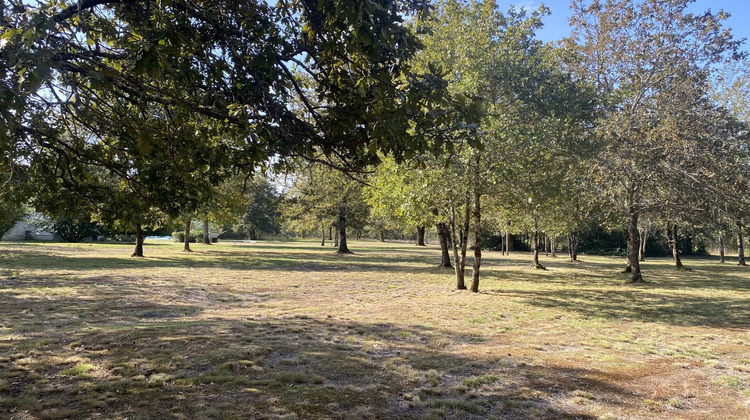 Ma-Cabane - Vente Maison Sore, 151 m²