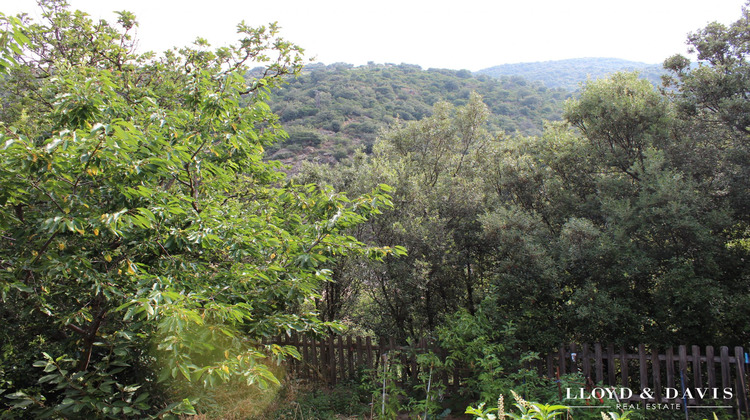 Ma-Cabane - Vente Maison Sorède, 236 m²