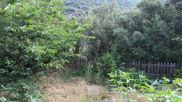 Ma-Cabane - Vente Maison Sorède, 236 m²
