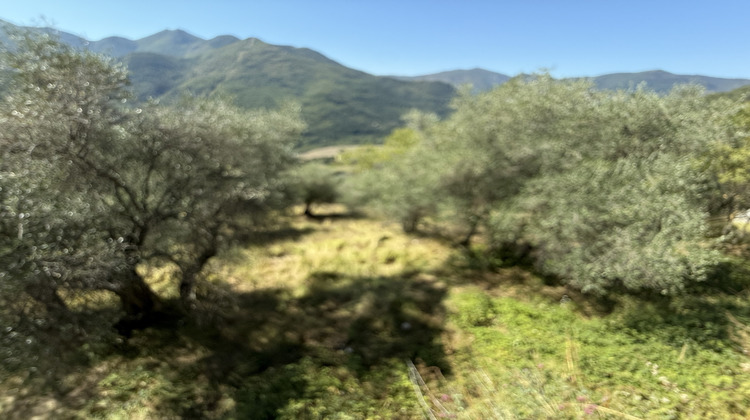 Ma-Cabane - Vente Maison Sospel, 265 m²