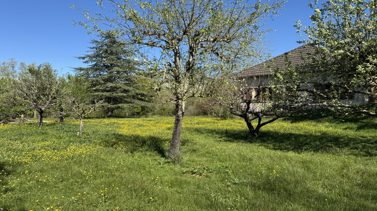 Ma-Cabane - Vente Maison Soual, 330 m²