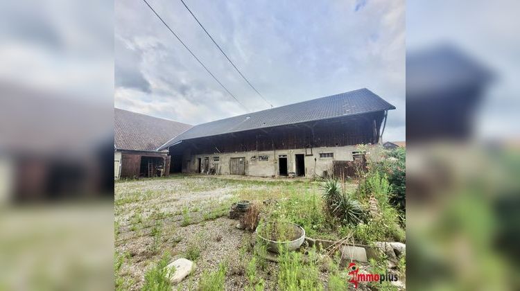 Ma-Cabane - Vente Maison Steinbrunn-le-Haut, 600 m²