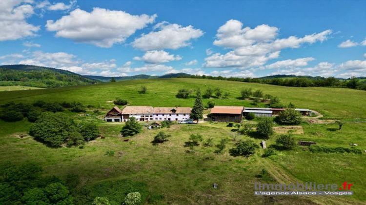 Ma-Cabane - Vente Maison Strasbourg, 360 m²