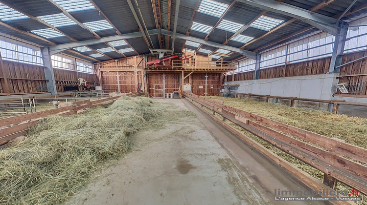 Ma-Cabane - Vente Maison Strasbourg, 200 m²