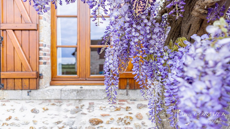 Ma-Cabane - Vente Maison SULLY SUR LOIRE, 245 m²