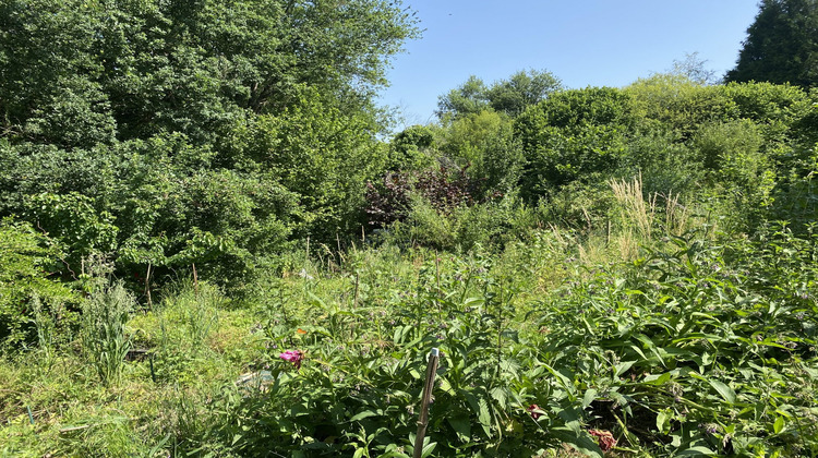 Ma-Cabane - Vente Maison Sussac, 116 m²