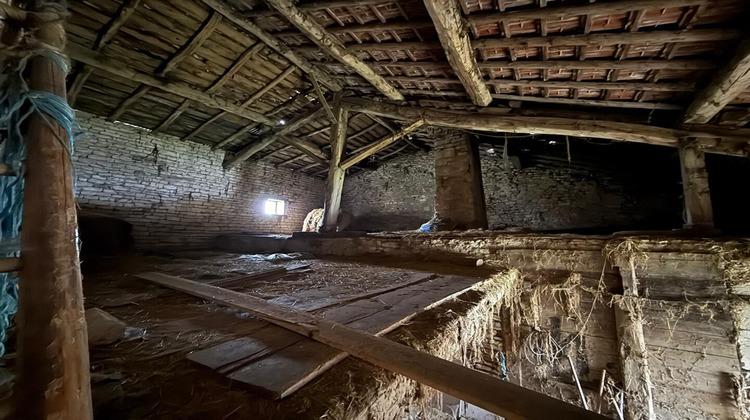 Ma-Cabane - Vente Maison TAILLANCOURT, 290 m²