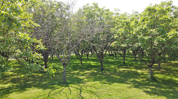 Ma-Cabane - Vente Maison TAMNIES, 231 m²