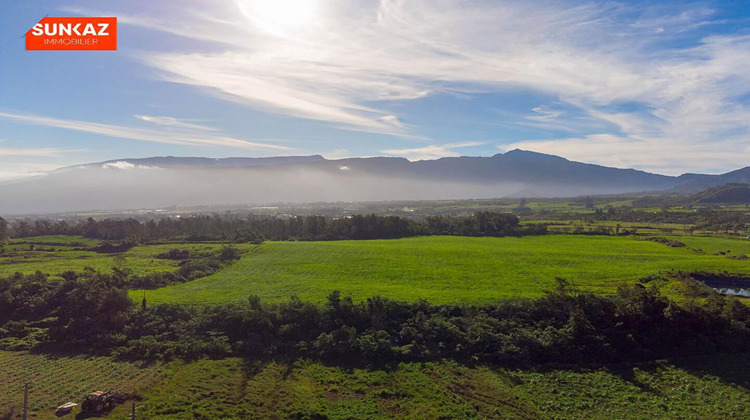 Ma-Cabane - Vente Maison TAMPON, 220 m²