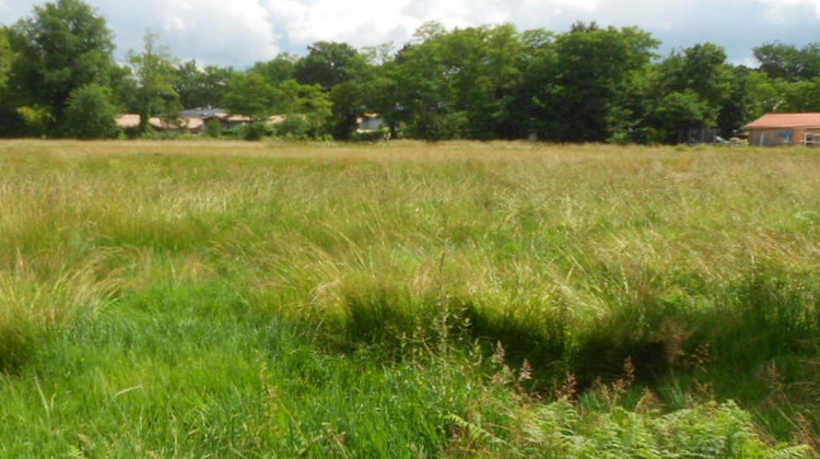 Ma-Cabane - Vente Maison TAURIAC, 600 m²