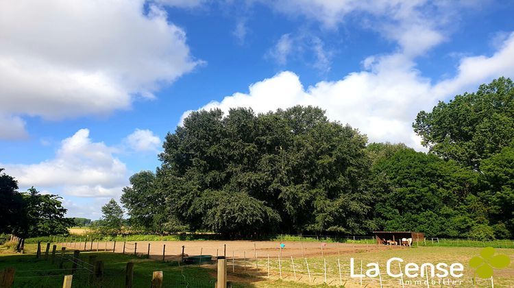 Ma-Cabane - Vente Maison TEMPLEUVE, 157 m²