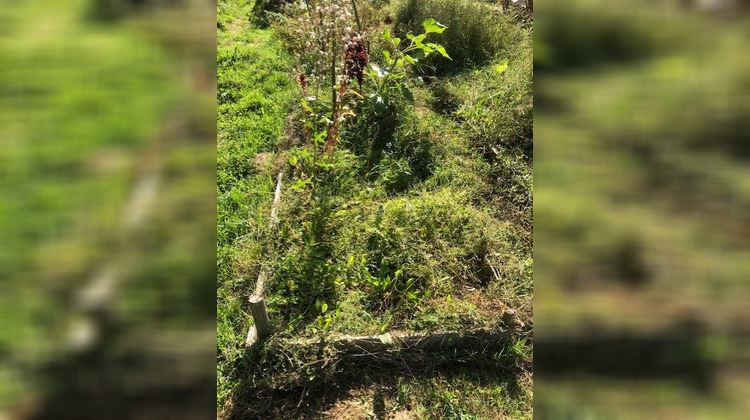 Ma-Cabane - Vente Maison tennie, 25 m²