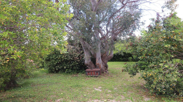 Ma-Cabane - Vente Maison TEYRAN, 155 m²