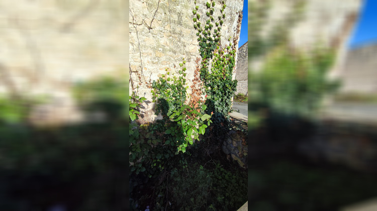 Ma-Cabane - Vente Maison THAIRE, 35 m²